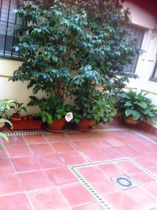 Apartamento Paola El Puerto de Santa María Exterior foto