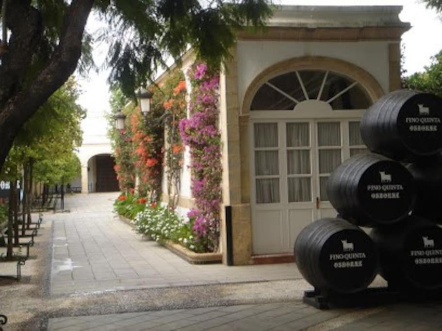 Apartamento Paola El Puerto de Santa María Exterior foto